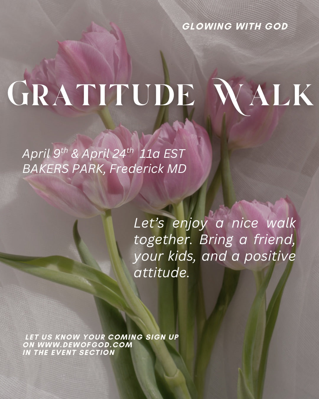 Gratitude Walks